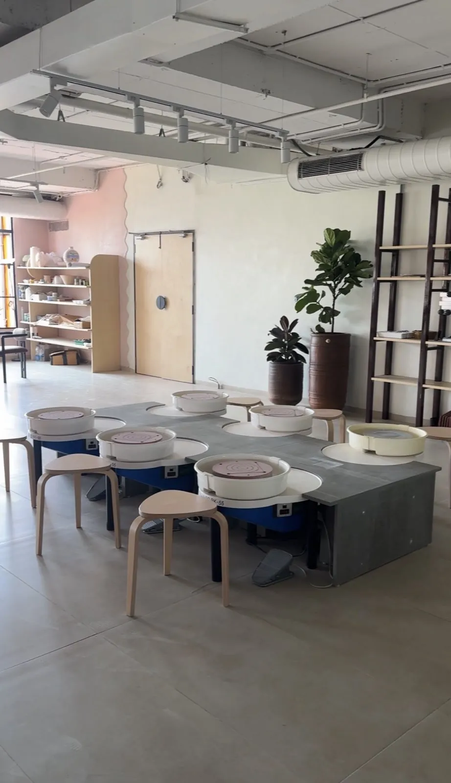 The wheel table — six wheels and stools under the plants